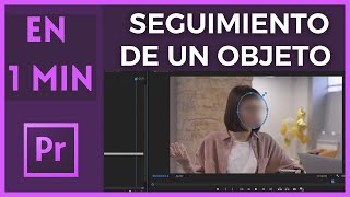 Seguir Cara  Zona  Objeto en Adobe Premiere Pro [upl. by Hemetaf]