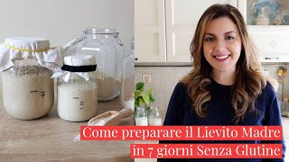 LIEVITO MADRE SENZA GLUTINE IN 7 GIORNIEasy Gluten Free Sourdough Starter GuideCucina dei Senza [upl. by Otreblide450]