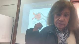 FISIOPATOLOGIA Insuficiencia renal aguda Sem 14 parte 2 [upl. by Button224]