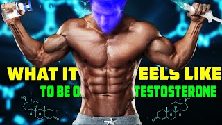 What It Feels Like To Be On Testosterone [upl. by Naffets]