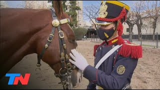 171° aniversario de la muerte de San Martín el Regimiento de Granaderos a Caballo [upl. by Erodeht]