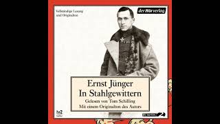 Ernst Jünger  In Stahlgewittern Hörbuch Teil 4 [upl. by Connett]