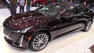 2024 Cadillac CT4 Sport 20L 40495  Interior Exterior and DrivePowerful Sedan [upl. by Ydospahr318]