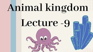 Annelida  Animal kingdom Lecture  9 [upl. by Llegna]