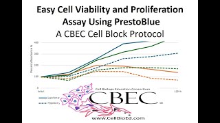 Cell Viability and Proliferation Assay with PrestoBlue [upl. by Fonzie335]