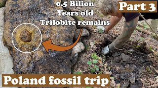 Cambrian trilobites forest  Part 3 [upl. by Adnoryt]