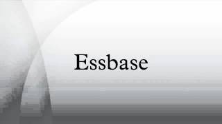 Essbase [upl. by Gide501]