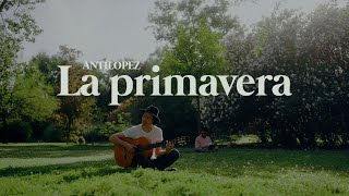 Antílopez  La Primavera Videoclip Oficial [upl. by Odlonra]