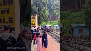 NILGIRI HERITAGE TRAIN lovedale travel shorts family sunflower blooming [upl. by Agostino]