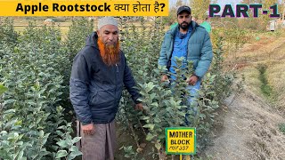 Part1Apple Rootstock क्या होता है M27M9T 337M26 M7MM106 MM111 में क्या अंतर है [upl. by Ahsirak554]