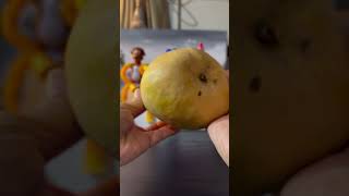 🌈THE GIANT MANGO satisfying shortvideo [upl. by Edmund]