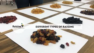 Raisins SA  Different types of raisins [upl. by Gio]