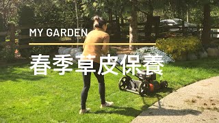 【園丁的前院】春季有機草地保養怎麼把青苔草地養好Spring Lawn Care 101 [upl. by Entirb]