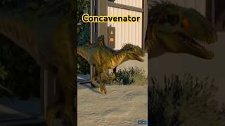 Released Concavenator  Jurassic World Evolution 2 [upl. by Duyne11]