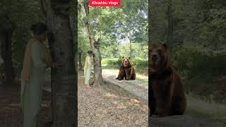 Baby Bear Gets Angry Over Honey bear wildlife ytshorts [upl. by Yraeht]