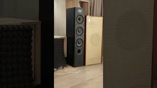 Focal vs Top USSR Loudspeaker [upl. by Imoyn266]