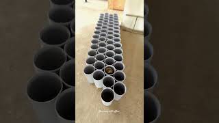 PVC pipe as Shoe rack  Budget friendly shoe rack diy gym nilgiris [upl. by Masson]