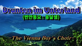 Drunten im Unterland번안동요 옹달샘💜빈 소년합창단 한글자막 HD With Lyrics🌴🌿🍒🌻🍓 [upl. by Blain]