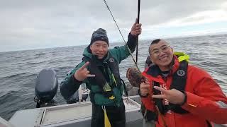 Westport fishing for Lingcod 2024 [upl. by Airretnahs]