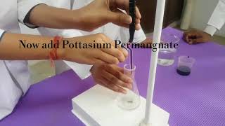 ChemistryPracticalTitration Mohrs saltKMnO4 Class 12Important Practical for CBSE [upl. by Tybi988]