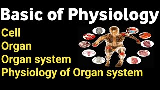 Basic of physiology  Physiology introduction  Theory and practical class of mlt and histopathology [upl. by Donna315]