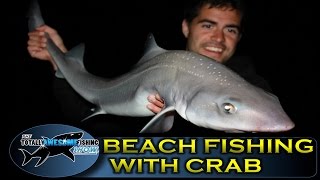 Beach fishing tips Part 7  Crab bait  TAFishing Show [upl. by Letsyrhc]