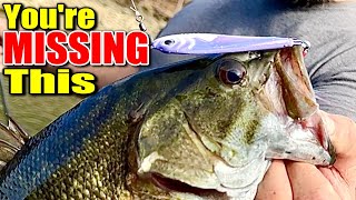 Is Your Winter Bass Fishing Gear Missing This ONE Crucial Item [upl. by Barabas]