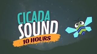 Cicada Sound and Cicadas Noise for Sleep 10 Hours [upl. by Trab915]