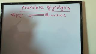 Anaerobic glycolysis [upl. by Oile849]