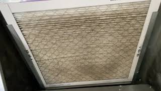 Do Air Filters Actually Make a Difference in Your Home [upl. by Assirram]