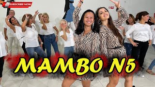 MAMBO N 5  Lou Bega  Choreography  Baile en linea  COREOGRAFIA  Balli gruppo  line DANCE [upl. by Euqinemod539]