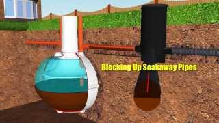 Septic Tank Soakaway Worms [upl. by Thomasine]