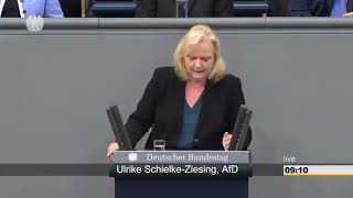 Ulrike ZiesungAfD Zum Rentenpaket der GroKo [upl. by Frost]