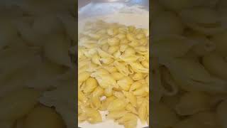 Yummy pasta in white sauce foryou cooking food pasta pastarecipe [upl. by Tamas884]