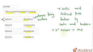 Milk is spoiledfermentedcurdled by [upl. by Glass]