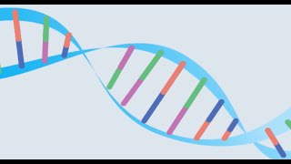 myBaits Hybridization Capture for Targeted NGS Sequencing [upl. by Madonna424]