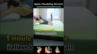 Spine Flexibility Stretch [upl. by Conover898]