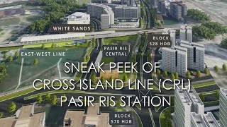 Overview of Cross Island Line 1 CRL1 Pasir Ris Station [upl. by Sperry]