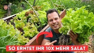 Salat länger frisch halten mit diesem Trick  dauerhaft Ernten [upl. by Herahab]