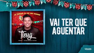 Tierry  Vai ter que Aguentar Promocional  Atualizadão Junino [upl. by Borchert]