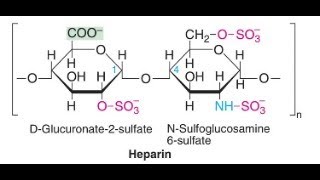 Heparin blood anticoagulant Blood Thinner made from Dog Liver [upl. by Enowtna723]