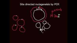 Principle of sitedirected mutagensis by PCR [upl. by Yerag766]