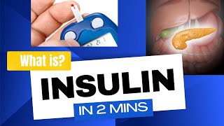 Insulin  How insulin works in 2mins [upl. by Nosidda]