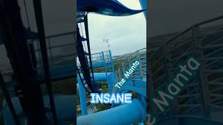 The Manta Roller Coaster Is An Insane Experience shorts [upl. by Auqenwahs]