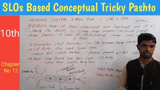 20 Neuron structure Dendrites  cell body  Axon  Myelin sheath biology in pashto [upl. by Larson]