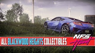 Need For Speed Heat ALL COLLECTIBLES Locations Blackwood Heights Billboards Arts Flamingos [upl. by Hannon]