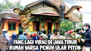 Viral  Warga Beramairamai Melihat Rumah Penuh Ular Piton Berukuran Raksasa [upl. by Fenner697]