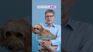 Was ist ein Therapiehund  Medizin ABC  Asklepios shorts [upl. by Alta]