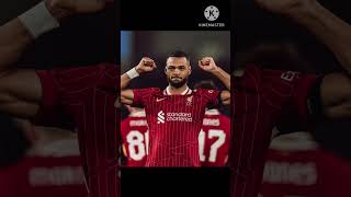 I wish these bustards loss liverpool premierleague salah Brighton [upl. by Navy]