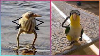 Birds with Arms being the Funniest Thing Ever ▶2 LeopARTnik [upl. by Ailekat]